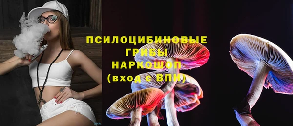 круглые Няндома