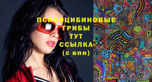 трава Нязепетровск